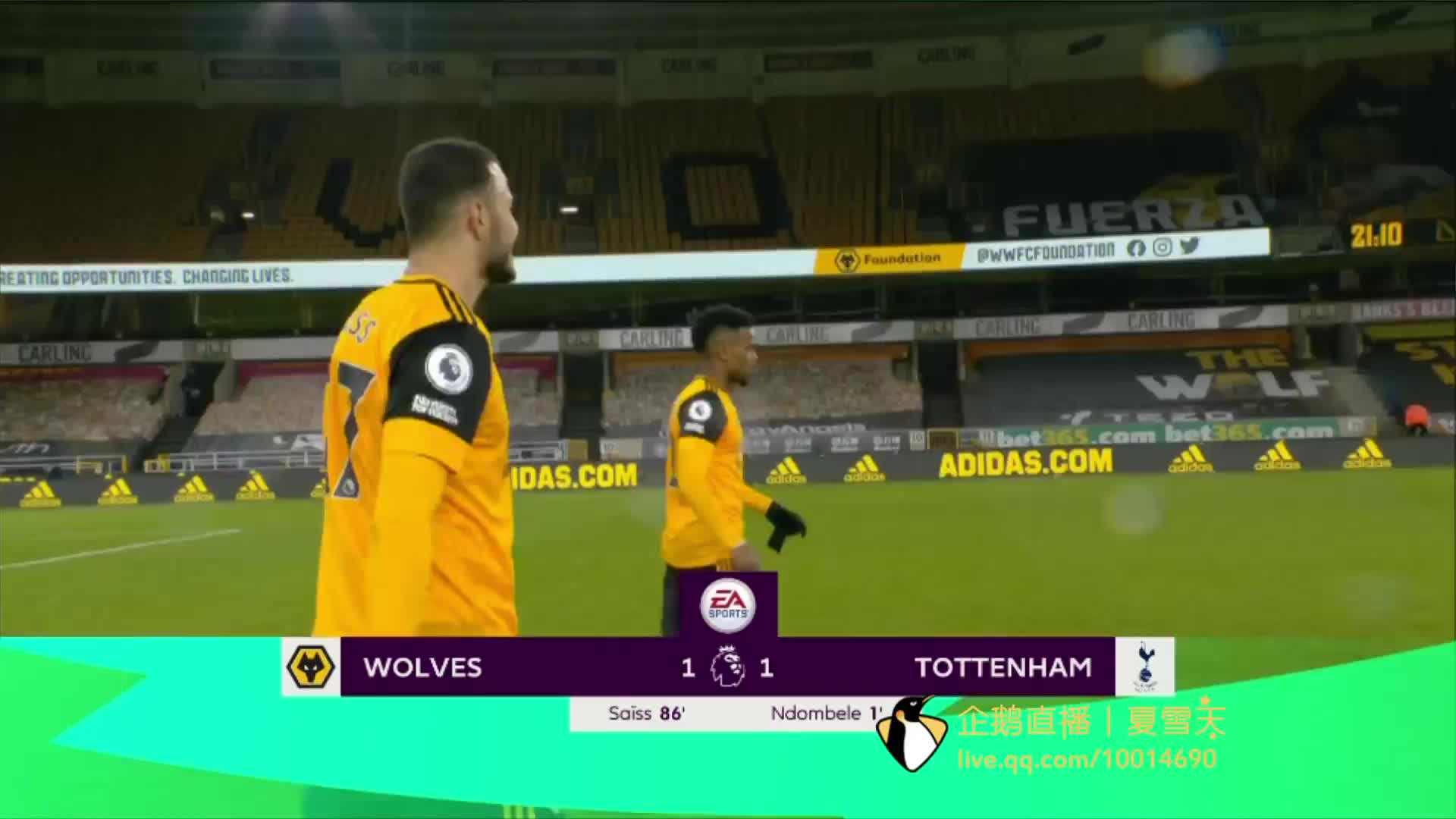 供了多样化 供了多样化